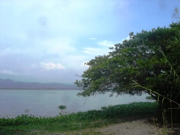Terreno en venta en Pie de la Cuesta, Acapulco de Juárez — foto 3 de 9