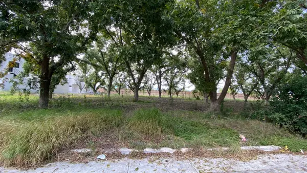 Terreno en venta en San Alberto, Saltillo, Coahuila de Zaragoza Terreno en venta en San Alberto, Saltillo, Coahuila de Zaragoza