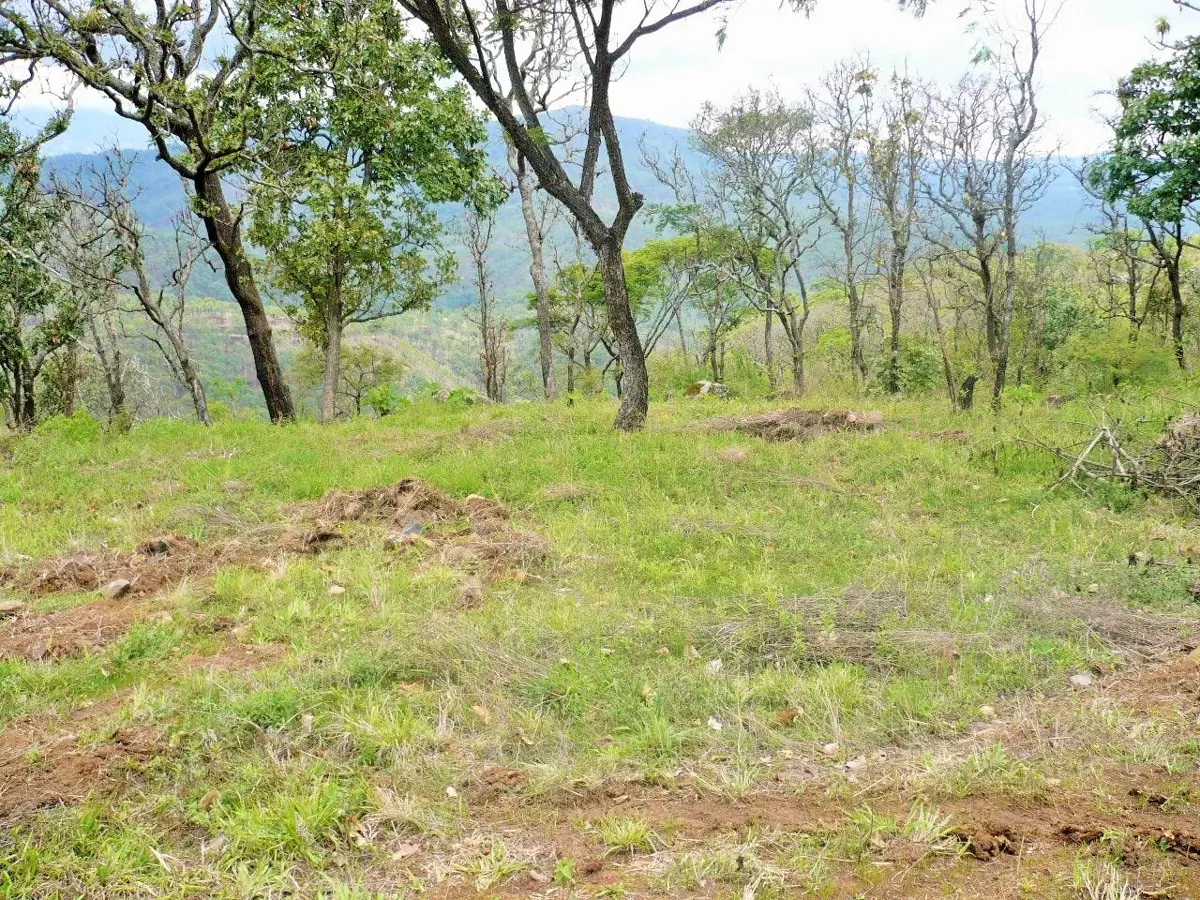 Terreno en venta en San Francisco, Temascaltepec — foto 1 de 20