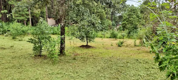Terreno en venta en Cerro Gordo, Valle de Bravo — foto 3 de 7