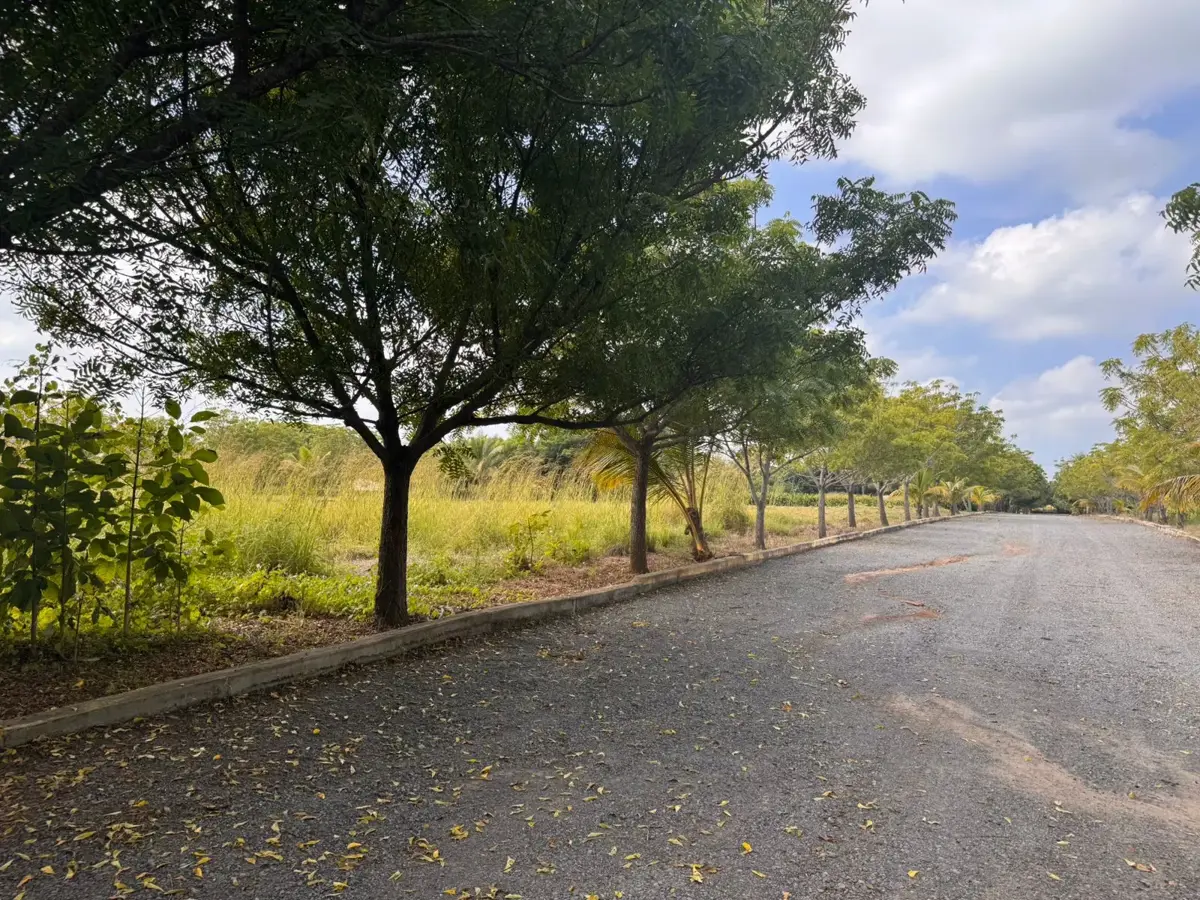 Terreno en venta en Moralillo, Medellín de Bravo — foto 1 de 6