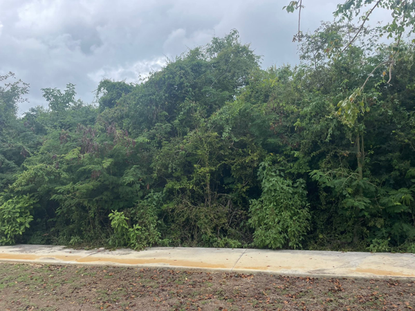Terreno en venta en Yucatán Country Club, Mérida — foto 3 de 7