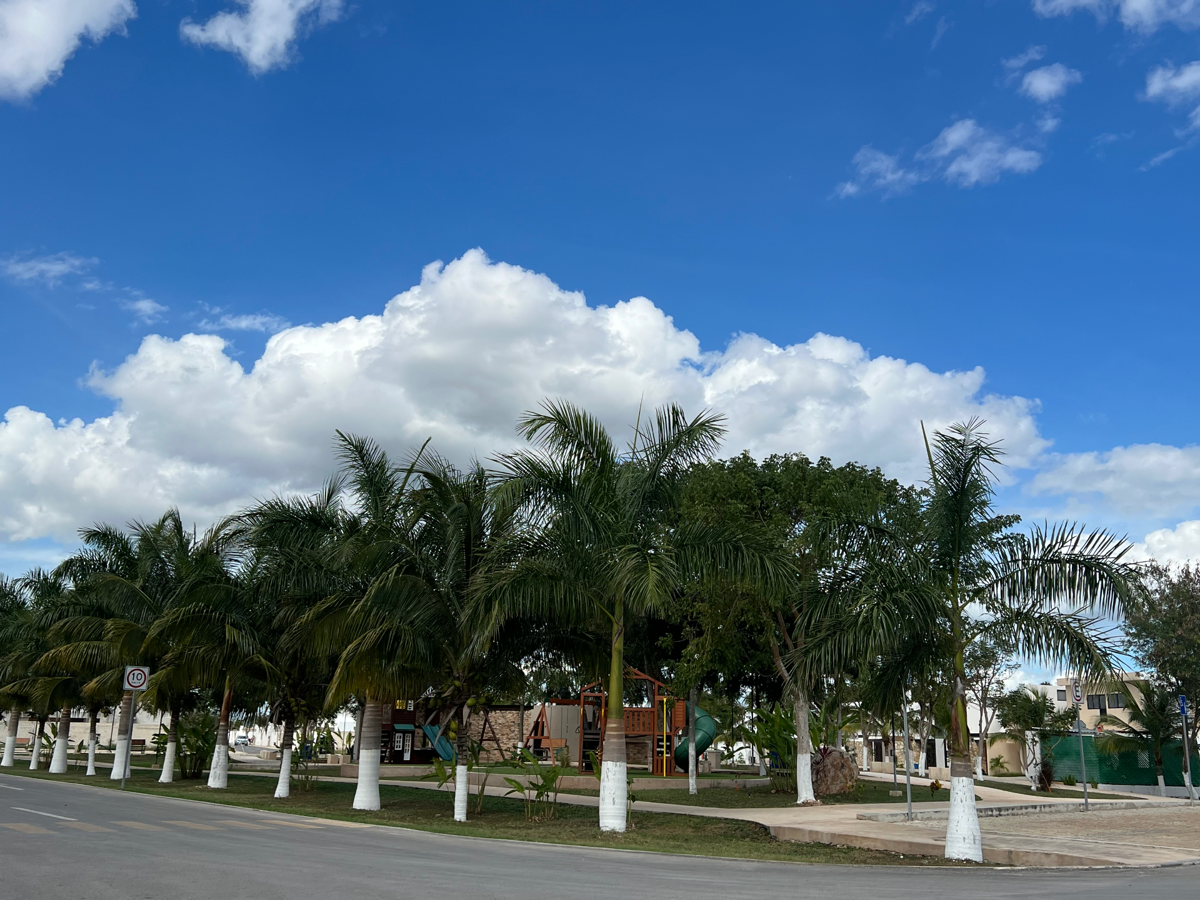 Terreno en venta en Cholul, Mérida — foto 1 de 10