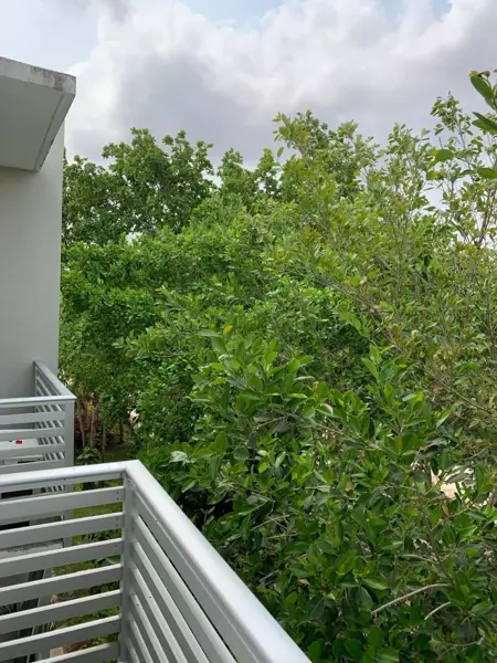 Departamento en renta en Jardines del Sur, Benito Juárez — foto 2 de 17