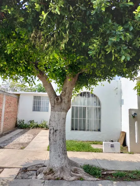 Casa en Los Nogales, San Juan del Río, Querétaro