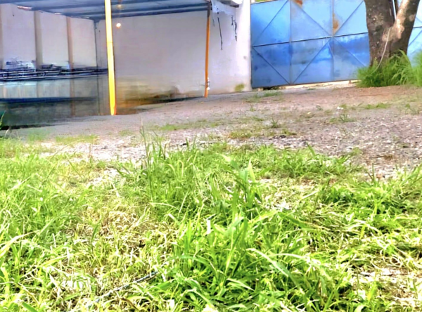 Terreno en venta en La Providencia, San Miguel de Allende — foto 2 de 5