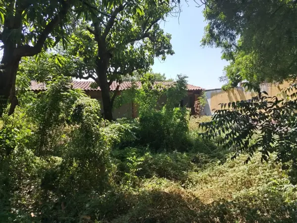 Local en venta en San Miguel, Coquimatlán — foto 3 de 12