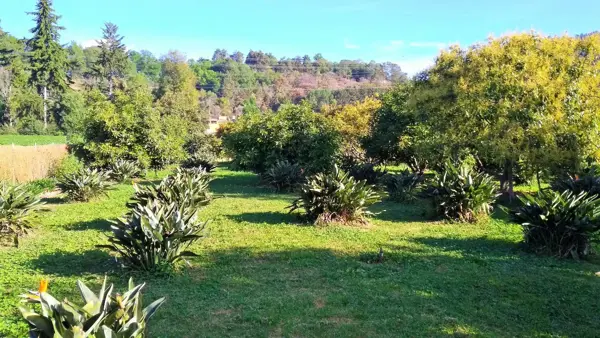 Terreno en venta en La Candelaria, Valle de Bravo — foto 2 de 6
