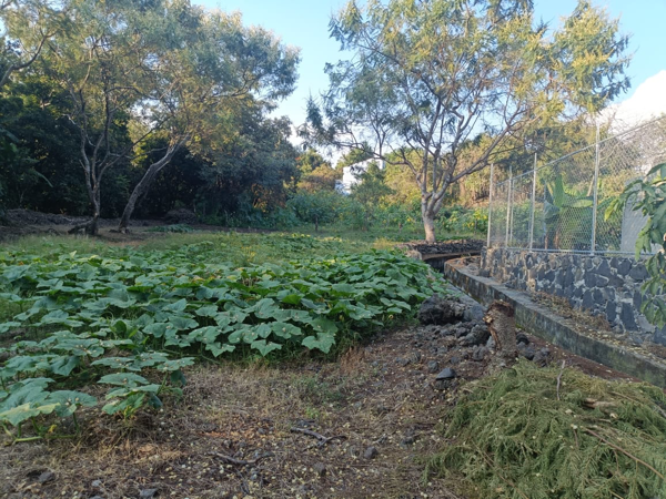 Terreno en venta en Jalmolonga (La Hacienda), Malinalco — foto 3 de 4