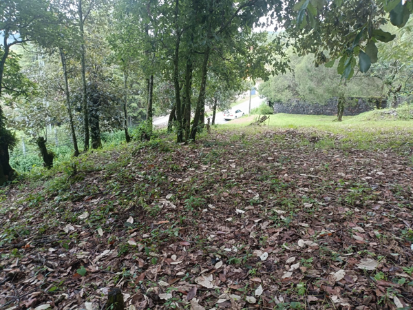 Terreno en venta en San Sebastián, Malinalco — foto 2 de 11