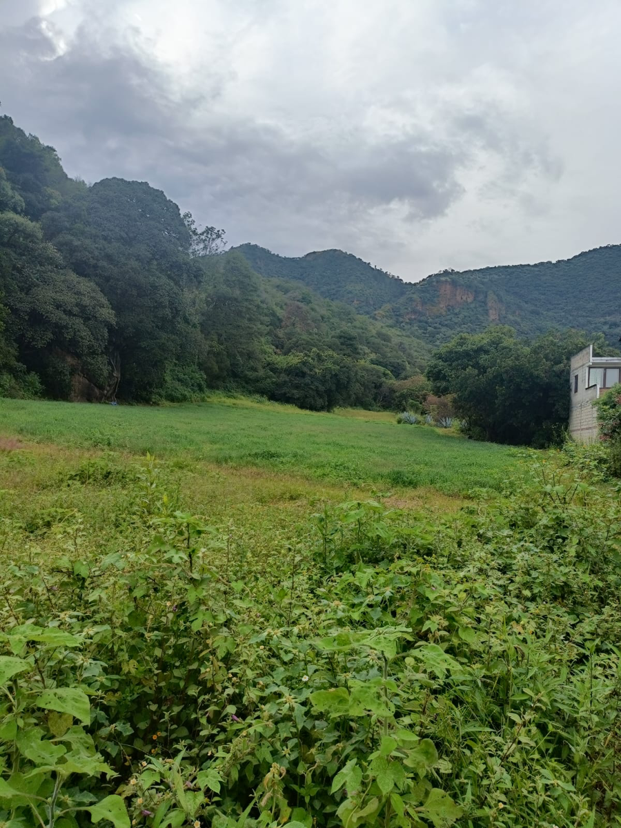Terreno en venta en San Juan, Malinalco — foto 1 de 7