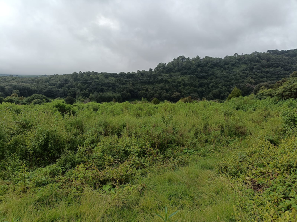 Terreno en venta en San Sebastián, Malinalco — foto 2 de 7