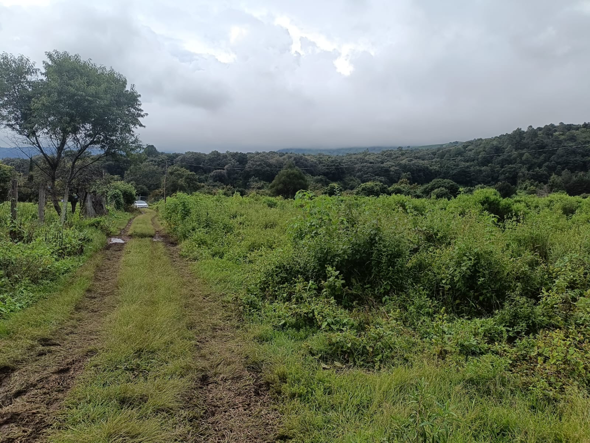 Terreno en venta en San Sebastián, Malinalco — foto 1 de 7