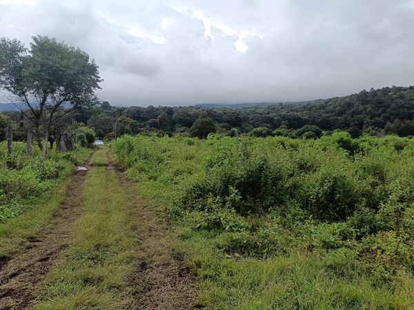 Terreno en venta en San Sebastián, Malinalco, México