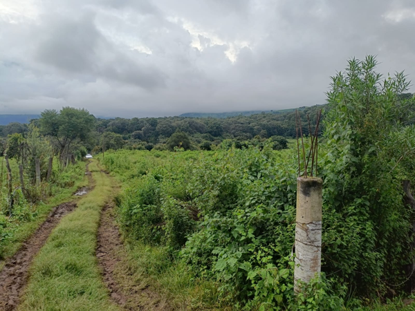 Terreno en venta en San Sebastián, Malinalco — foto 3 de 7