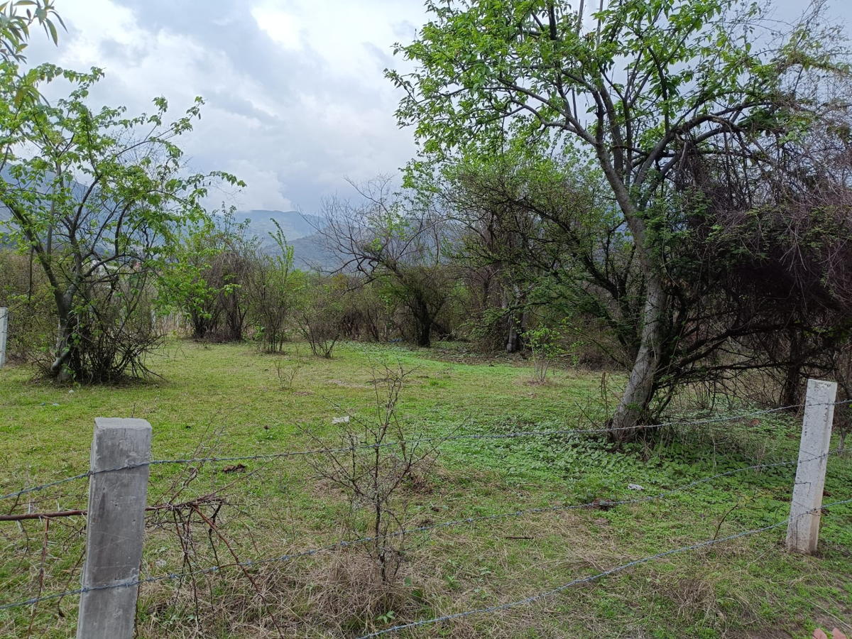Terreno en venta en El Puentecito, Malinalco — foto 1 de 7
