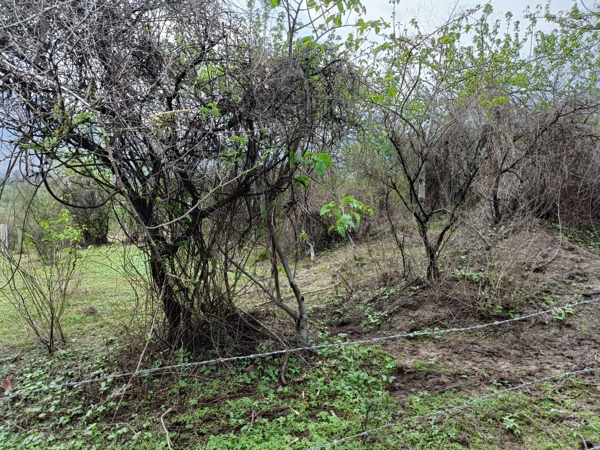 Terreno en venta en El Puentecito, Malinalco — foto 2 de 7