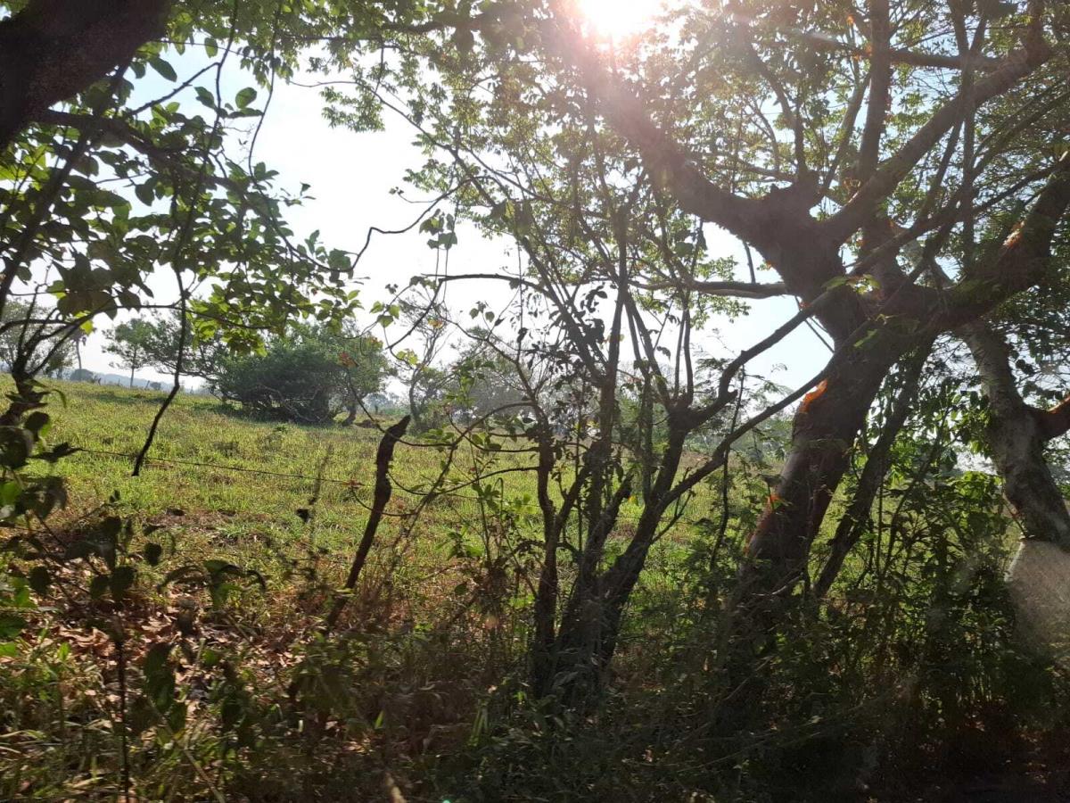 Terreno en venta en La Aguada, Alvarado — foto 1 de 30