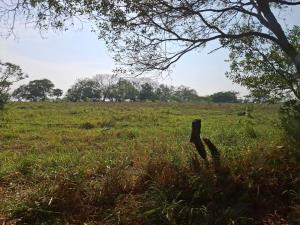 Terreno en venta en La Aguada, Alvarado — foto 3 de 30