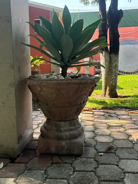 Casa en renta en Temixco Centro, Temixco — foto 3 de 50