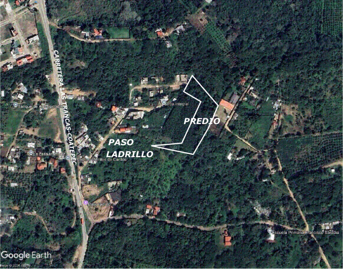 Terreno en venta en Paso Ladrillo, Emiliano Zapata — foto 1 de 3