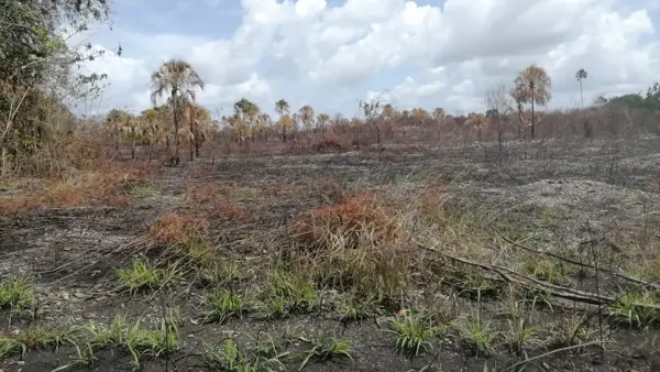 Finca-Rancho en venta en Altos de Sevilla, Bacalar — foto 3 de 4
