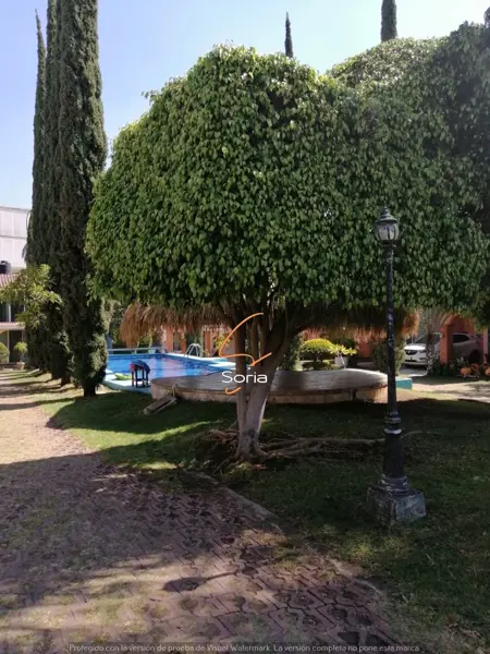 Casa en renta en Miguel Hidalgo, Cuautla — foto 3 de 22