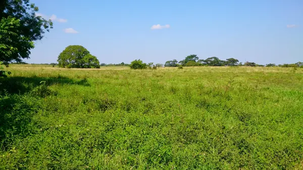 Terreno en venta en Mactun, Balancán — foto 3 de 37