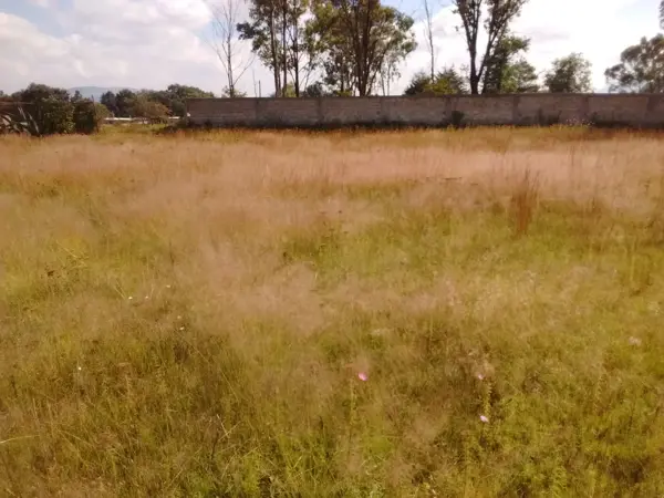 Terreno en venta en Las Manzanas, Jilotepec — foto 3 de 15