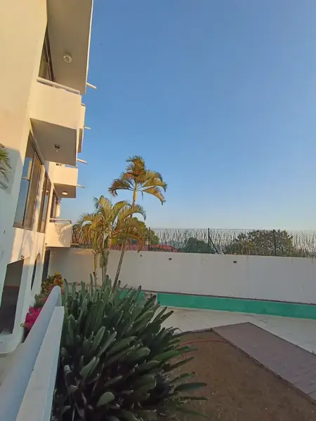 Edificio en renta en Jardines de Cuernavaca, Cuernavaca — foto 3 de 29