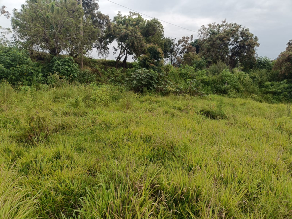 Terreno en venta en San Sebastián, Malinalco — foto 3 de 4