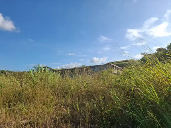 Terreno en venta en Anton Lizardo, Alvarado — foto 3 de 16