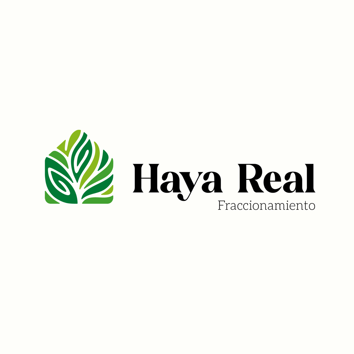 Terreno en venta en Buenavista, Xalapa — foto 1 de 5