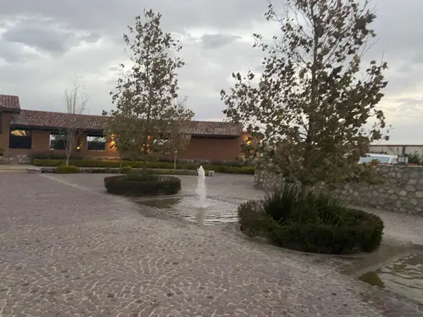 Terreno en venta en La Gran Vinícola, Gómez Palacio — foto 2 de 5