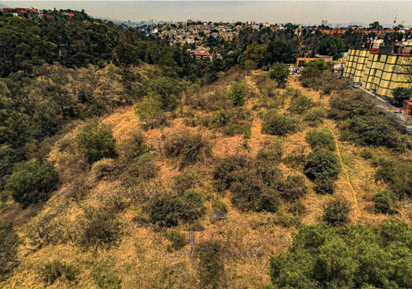 Terreno en venta en Olivar de los Padres, Álvaro Obregón — foto 3 de 5