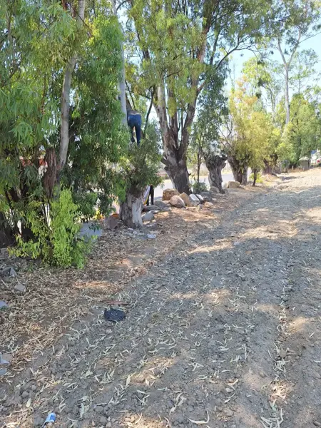 Terreno en venta en Santa María, San Andrés Cholula — foto 2 de 5