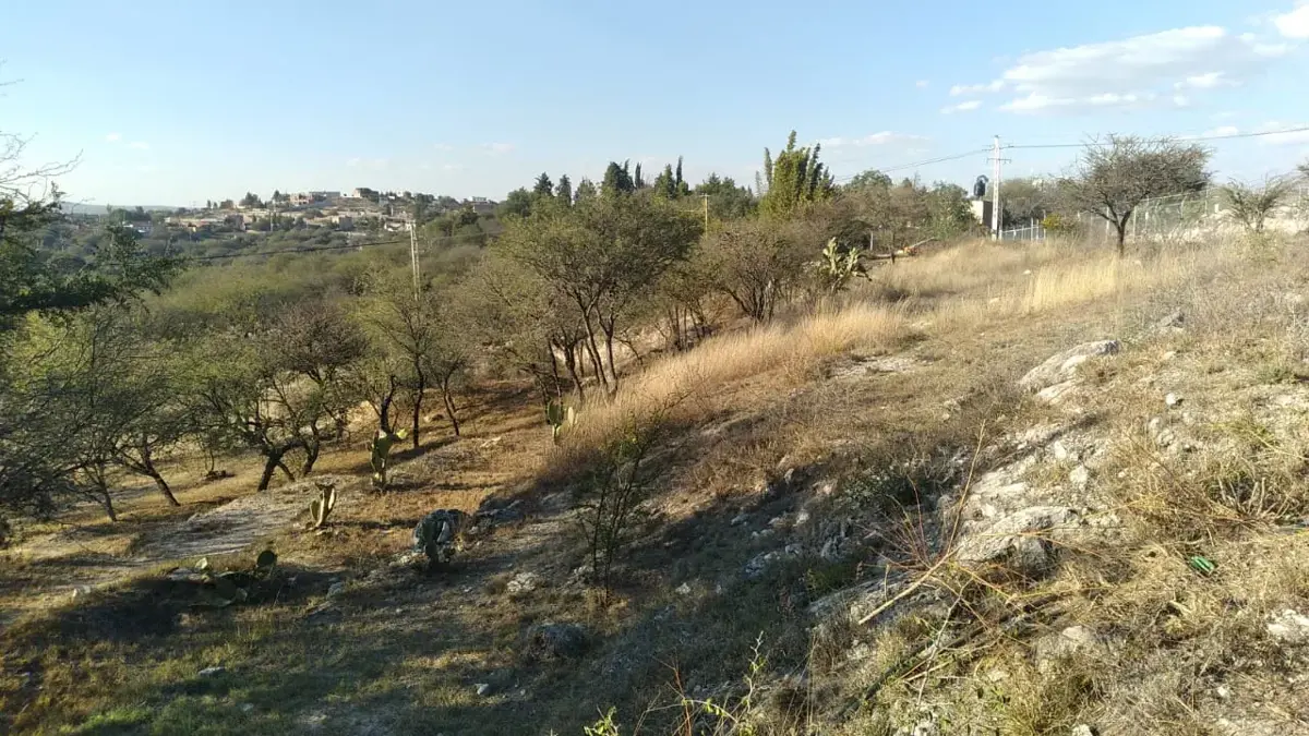 picture-4