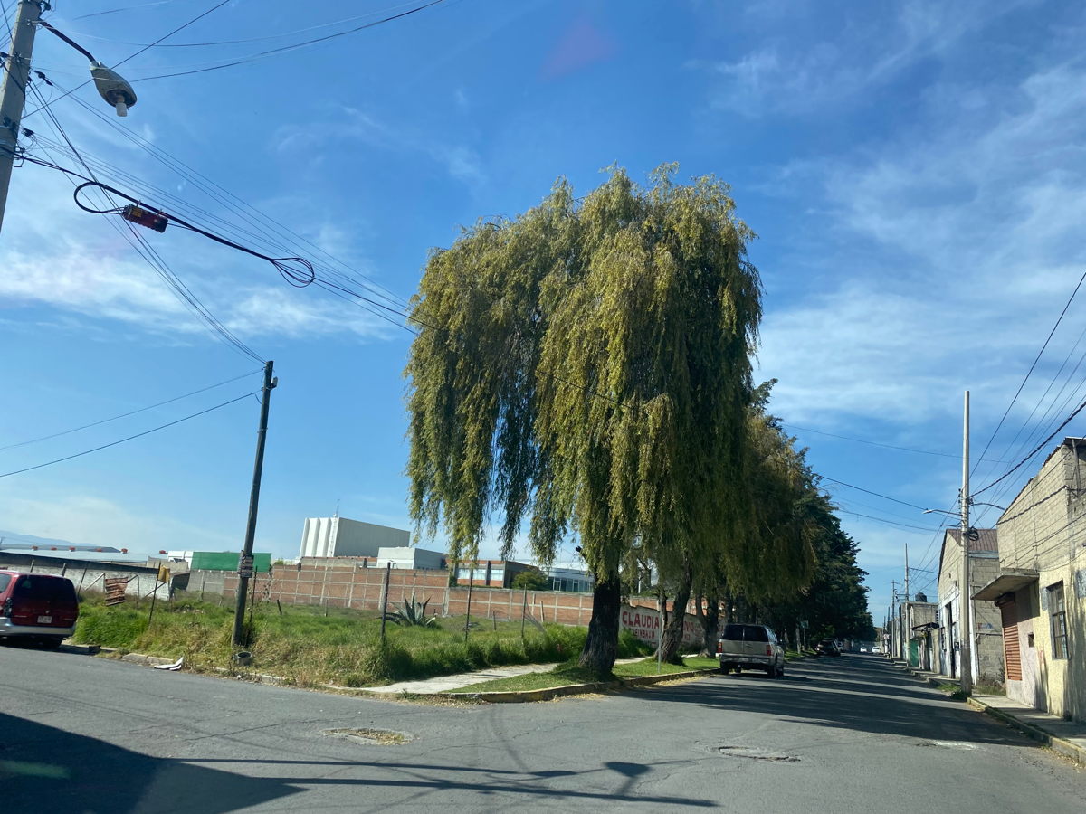 Terreno en venta en San Mateo Oxtotitlan, Toluca — foto 1 de 7