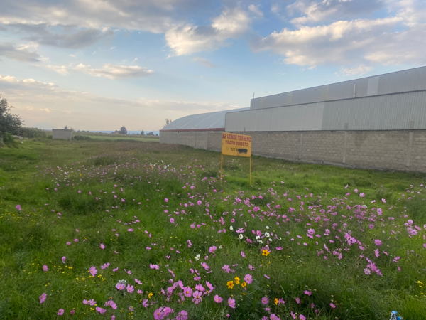 Terreno en venta en La Constitucion Totoltepec, Toluca — foto 2 de 5