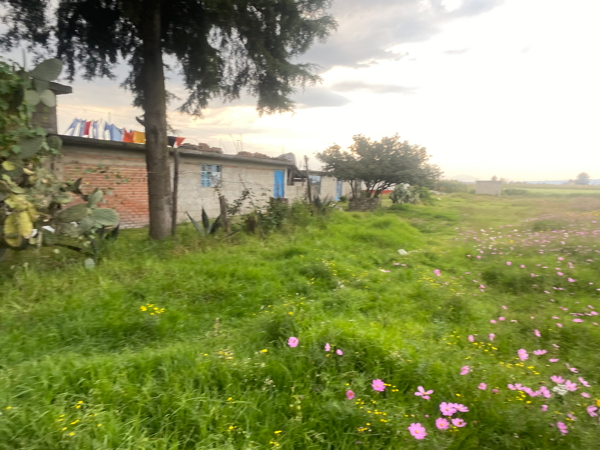 Terreno en venta en La Constitucion Totoltepec, Toluca — foto 3 de 5