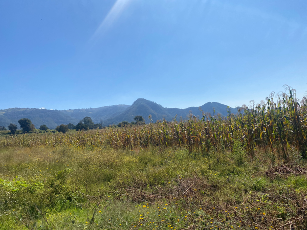 Terreno en venta en San Sebastián, Malinalco — foto 2 de 6