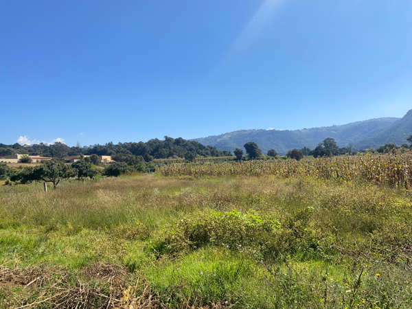 Terreno en venta en San Sebastián, Malinalco — foto 3 de 6