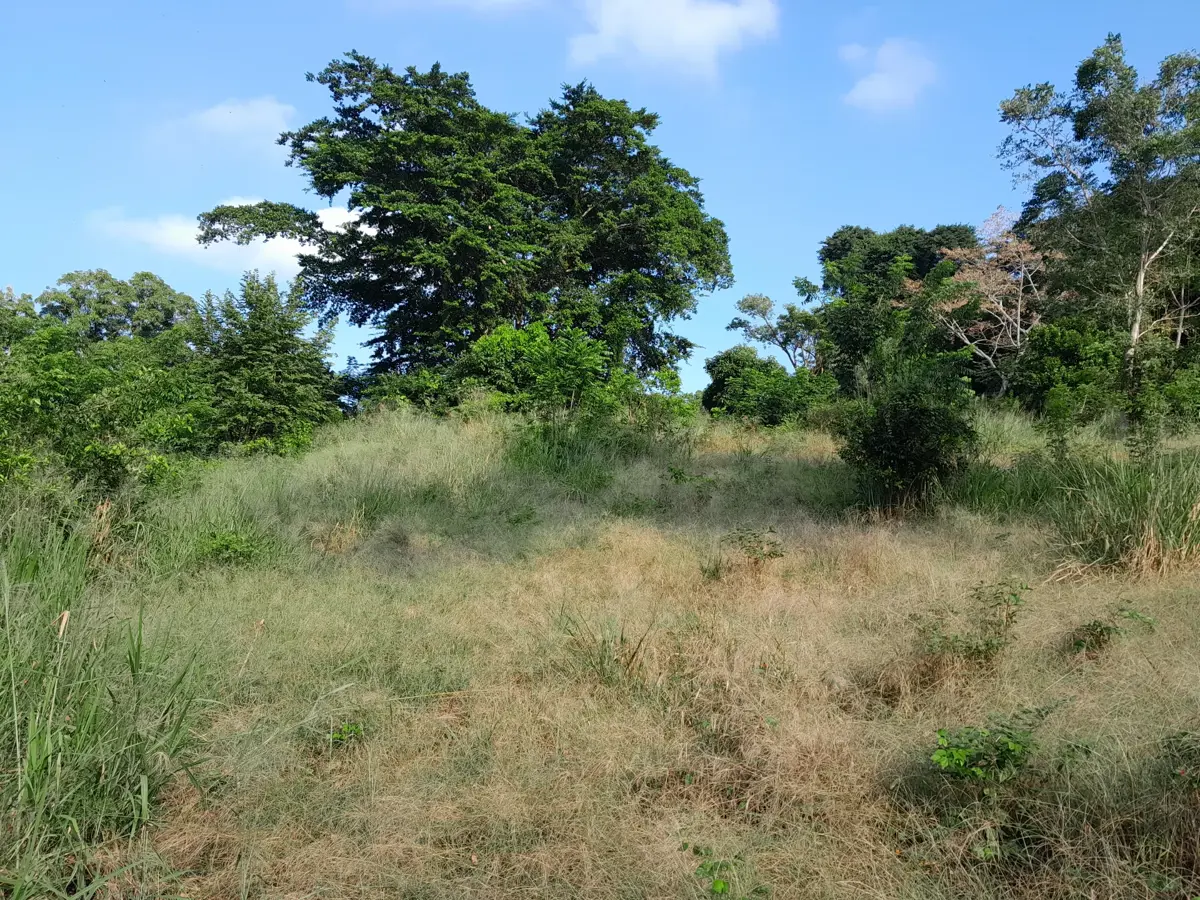 Terreno en venta en Donato Márquez Azuara, Papantla — foto 1 de 13