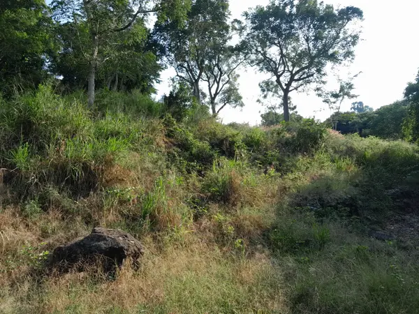 Terreno en venta en Donato Márquez Azuara, Papantla — foto 2 de 13