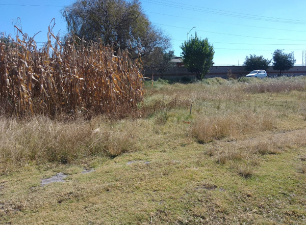 Terreno en venta en San Miguel Totocuitlapilco, Metepec — foto 2 de 3