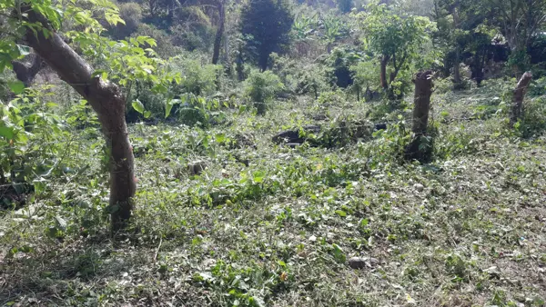 Terreno en venta en Cerro Del Mesón, Poza Rica de Hidalgo — foto 3 de 5