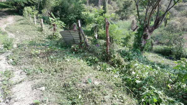 Terreno en venta en Cerro Del Mesón, Poza Rica de Hidalgo — foto 2 de 5