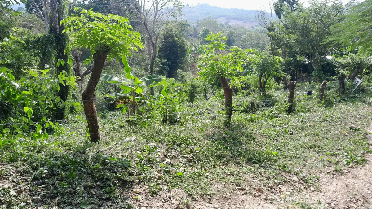 Terreno en venta en Cerro Del Mesón, Poza Rica de Hidalgo — foto 1 de 5