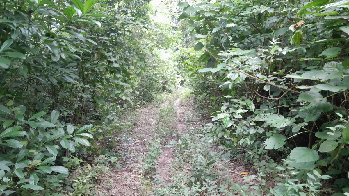 Terreno en venta en La Grandeza, Papantla — foto 1 de 7
