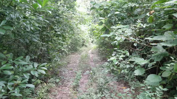 Terreno en venta en La Grandeza, Papantla, Veracruz de Ignacio de la Llave